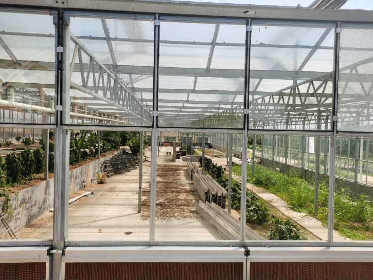 赞皇莲华农庄:现代农区变景区 老百姓吃上旅游饭