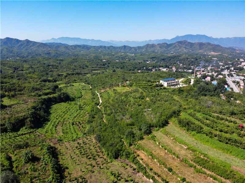 探访赞皇旅发“一核、两区、百点”之部落神农观摩点