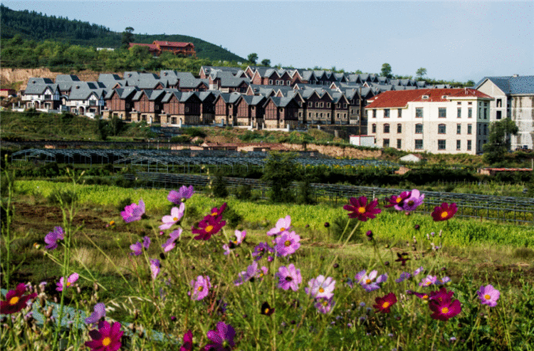 名牌导游带您游河北|崇礼富龙四季小镇:运动+文化,打造冰雪旅游新体验!