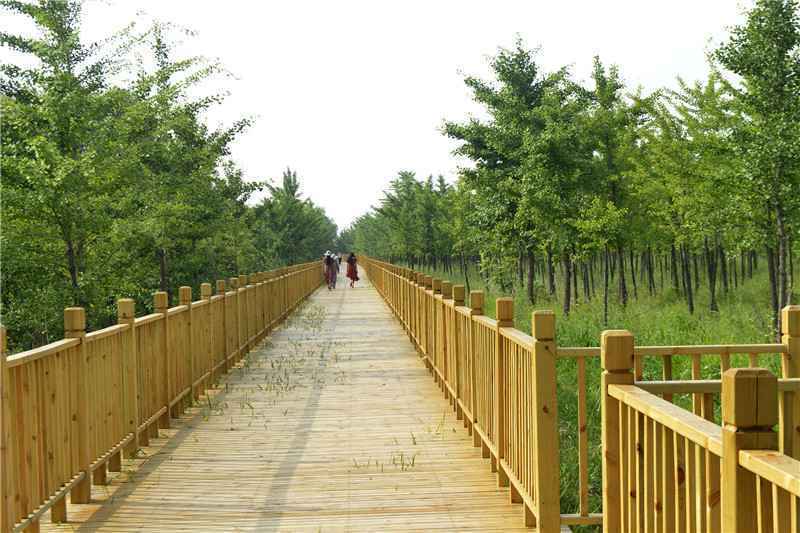 邢台旅发大会拍了拍你！八大“最美风景”等你来打卡