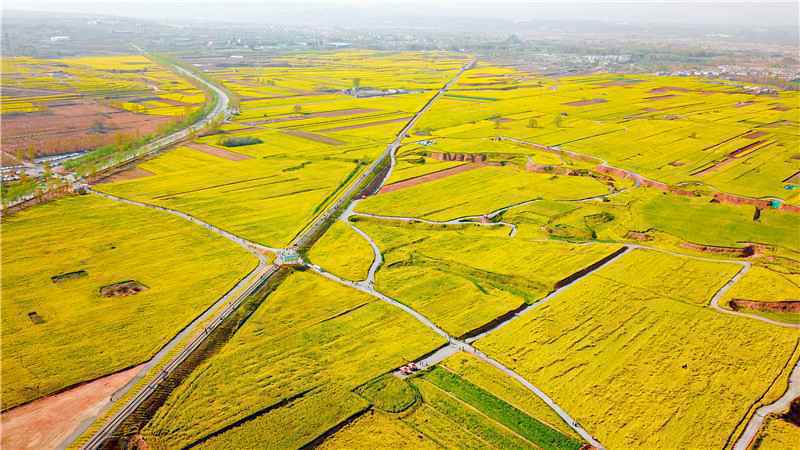 邢台旅发大会拍了拍你！八大“最美风景”等你来打卡
