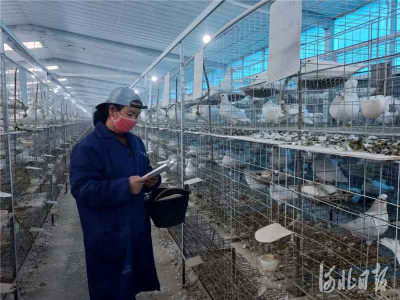 聚焦京津冀协同发展｜京津冀扶贫协作积极推进