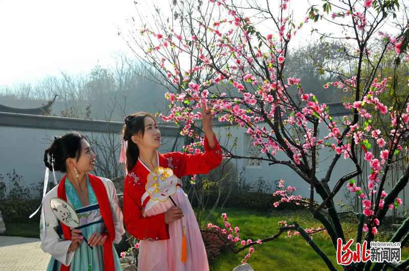 【“春到售楼处”摄影作品展 ①】十里春风颐养小镇:诗画江南入鹿泉