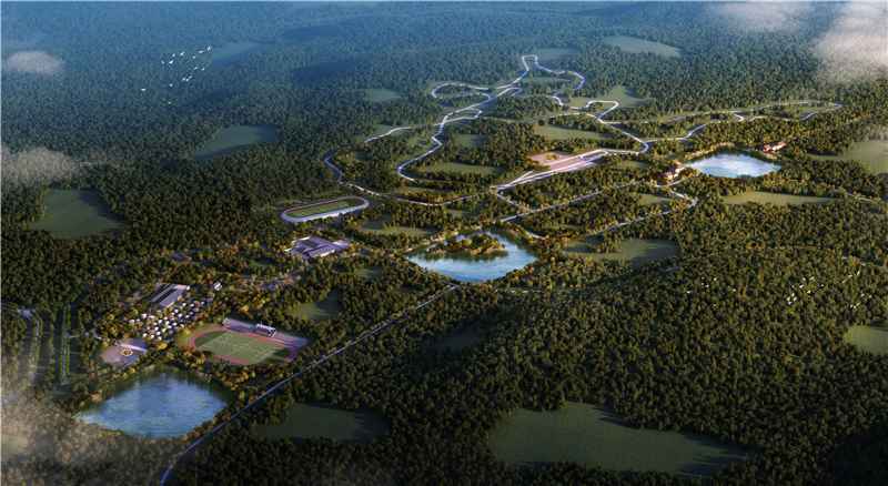 备战北京冬奥会，三大基地打造“冠军摇篮”