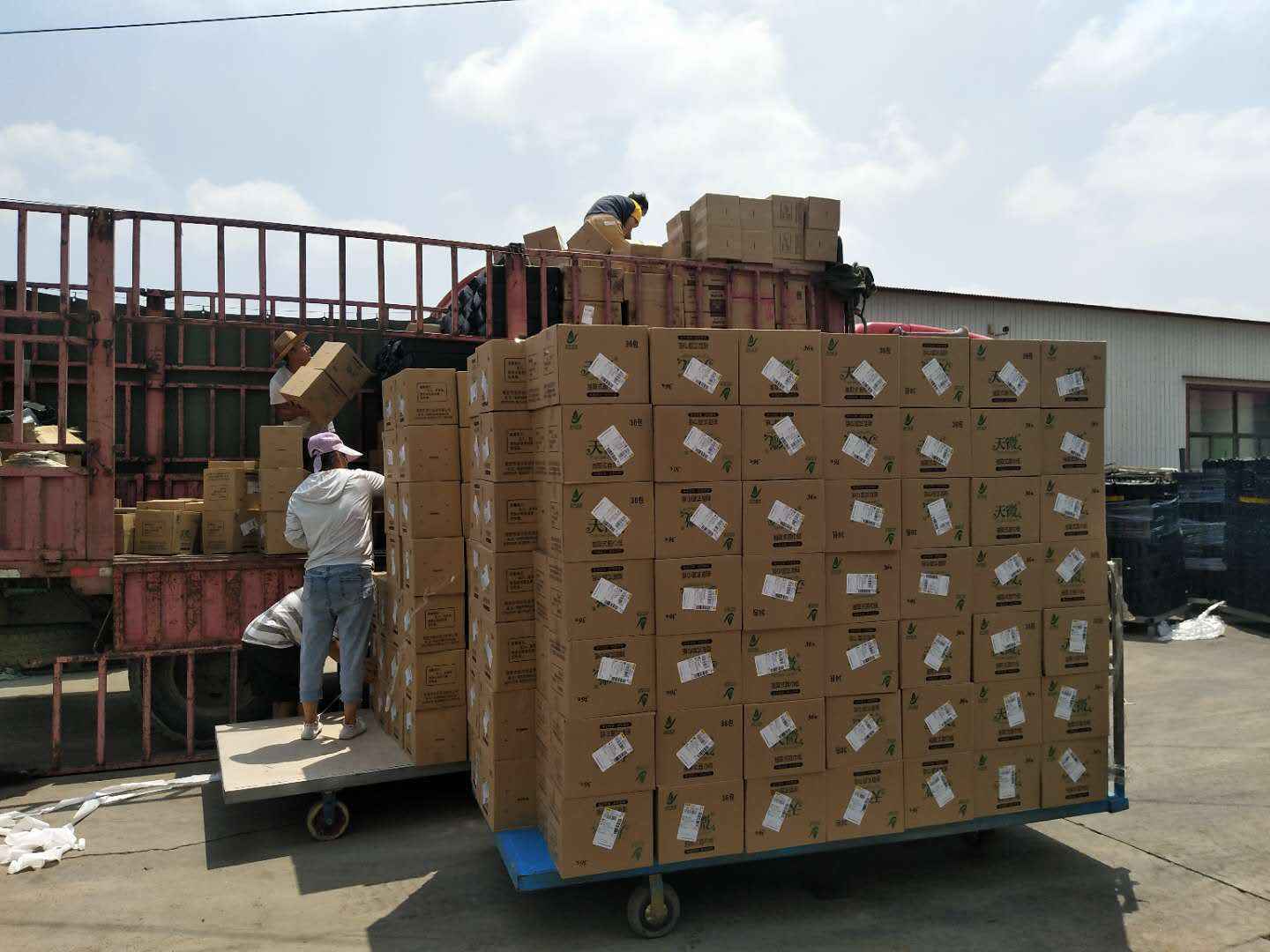 逆势扩招 制造业小微企业借支付宝加快复苏