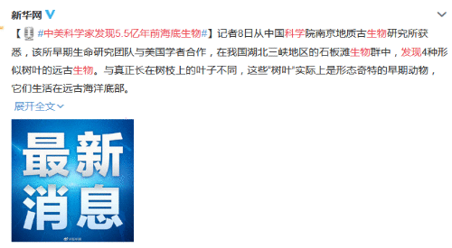 中美科学家发现5.5亿年前海底生物 长得很像树叶叶片