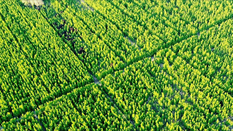 名牌导游带您游河北|这里被誉为“凤城”“龙乡”,绿水交融的美丽画卷为您展开!