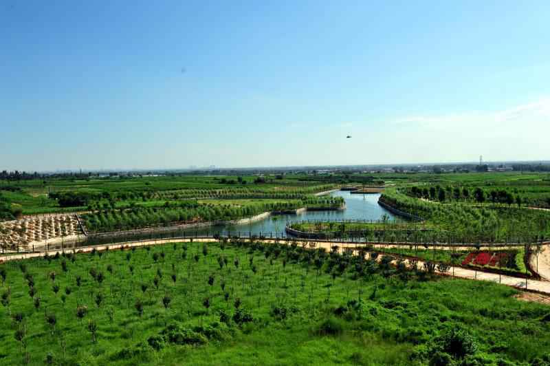 名牌导游带您游河北│美景与健康相伴,快来这里解锁农业生态新体验!