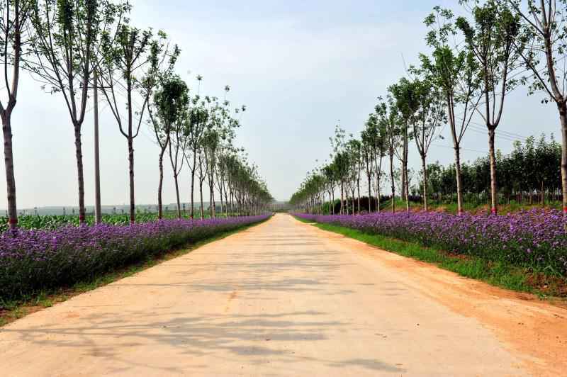 名牌导游带您游河北│美景与健康相伴,快来这里解锁农业生态新体验!