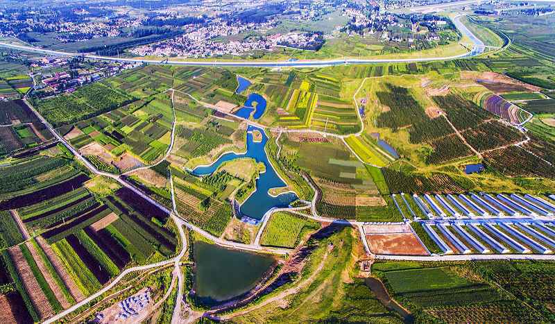 名牌导游带您游河北│美景与健康相伴,快来这里解锁农业生态新体验!