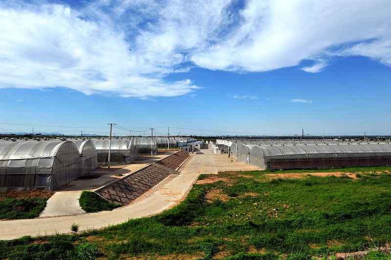 名牌导游带您游河北│美景与健康相伴,快来这里解锁农业生态新体验!