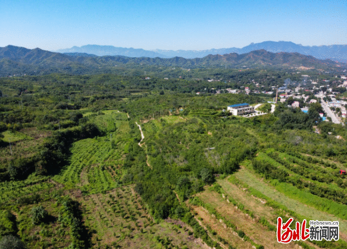 旅发时间 | 四季常青 荒草秃石山华丽变身