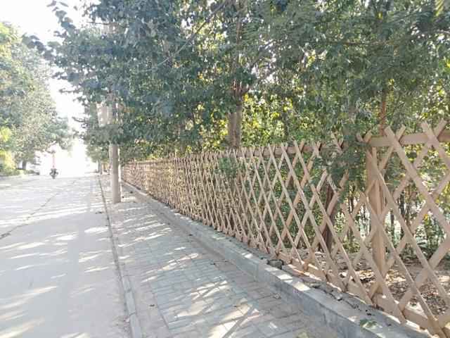 从“三堵墙”看邯郸邱县新马头镇工作的“面子”和“里子”