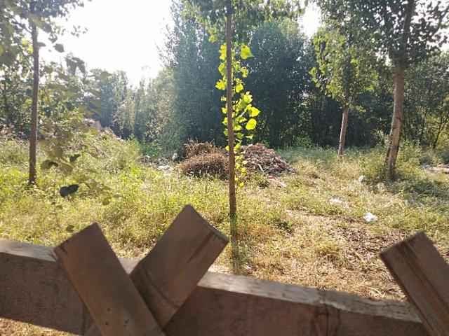 从“三堵墙”看邯郸邱县新马头镇工作的“面子”和“里子”