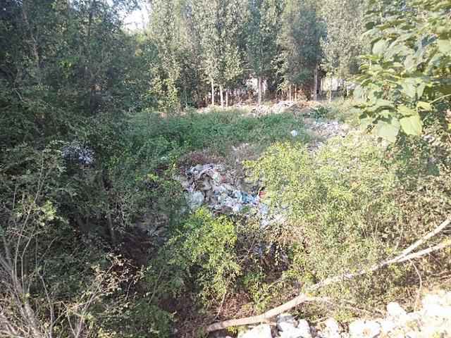 从“三堵墙”看邯郸邱县新马头镇工作的“面子”和“里子”