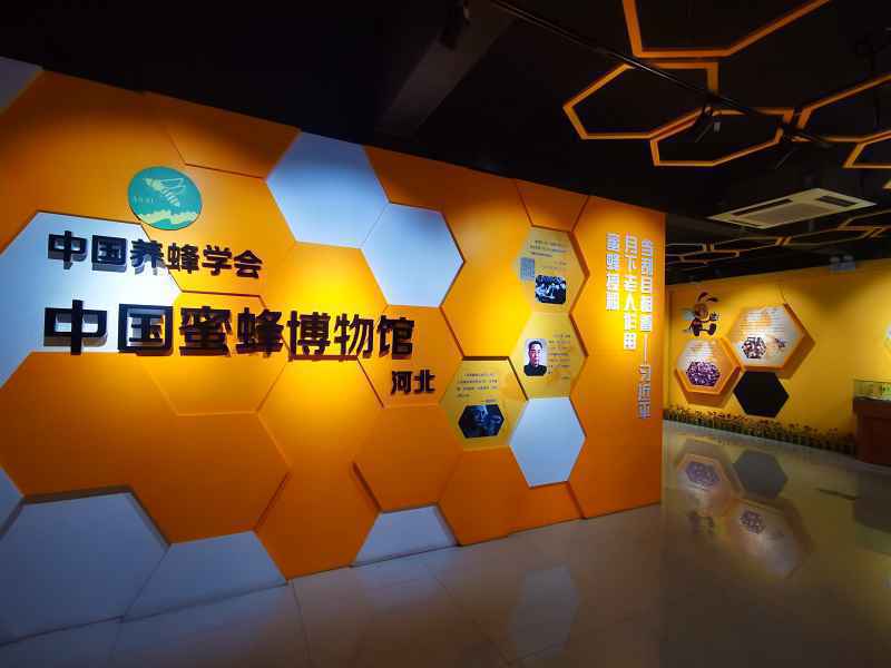 旅发时间|来自太行深山的“甜蜜”事业