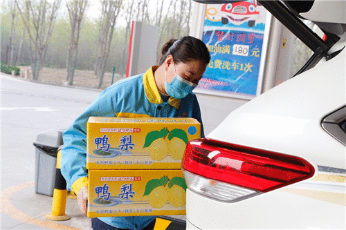 中国石油河北销售公司510座加油站投身百日助农