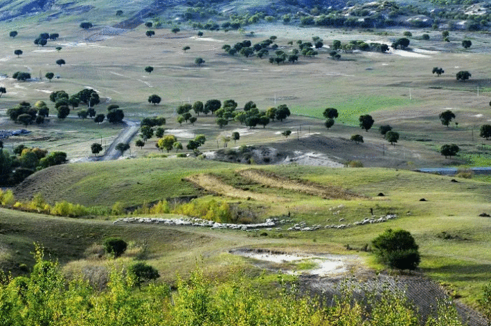 塞外满风情，剪刀生繁花！来丰宁，看巧手剪出纸上乾坤……