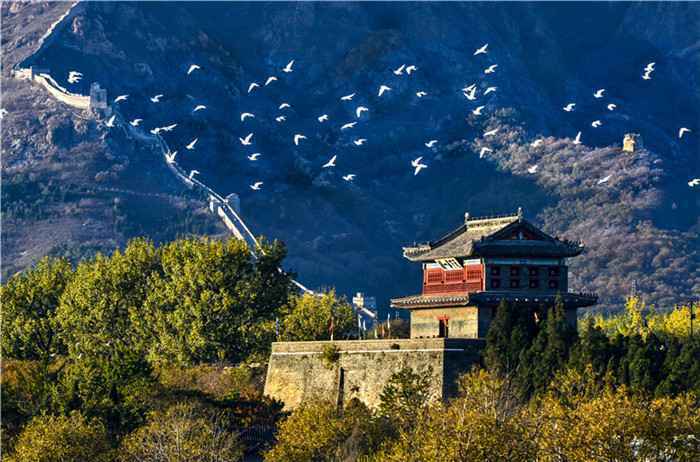 名牌导游带您游河北|走一段山海关古道，听一听长城背后的故事