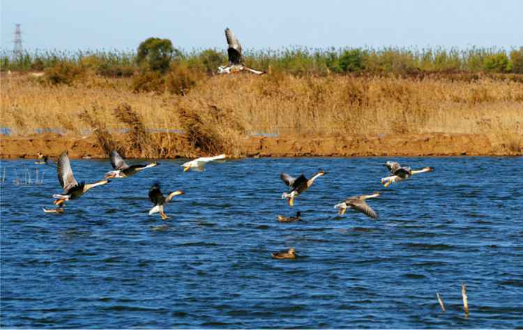 名牌导游带您游河北 | 河北这个年轻且古老的地方，“沧海文化”从这里起航……