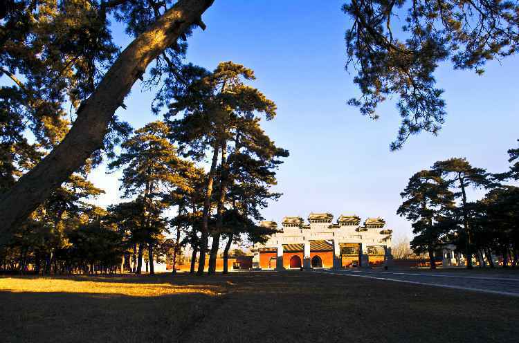 名牌导游带您游河北|探秘中国最后一座帝王陵墓群！这里还有国内最大人工古松林，被誉为可以深呼吸的“天然氧吧”…