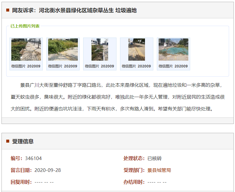 衡水景县绿化区域杂草丛生 垃圾遍地