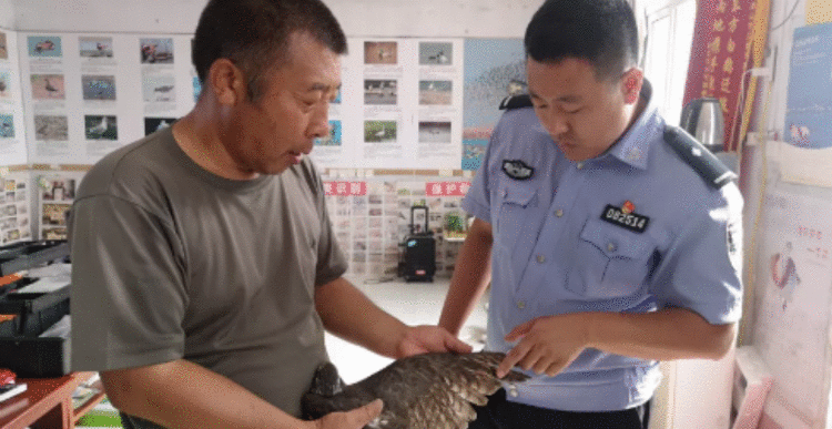 保护野生鸟类，唐山海港开发区在行动！