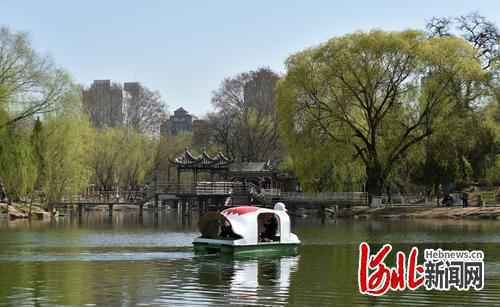 游园赏花正当时 河北石家庄园博园、植物园、动物园恢复开放