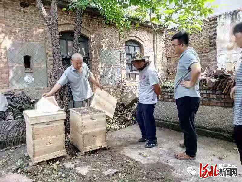 “十三五”收官之年看河北税收：助力贫困村实现“小康梦”