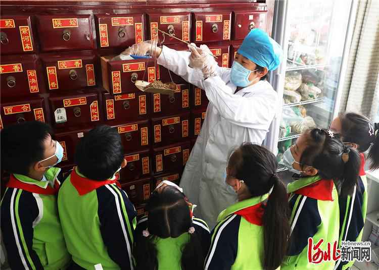 河北：体验中医文化 感受中医魅力