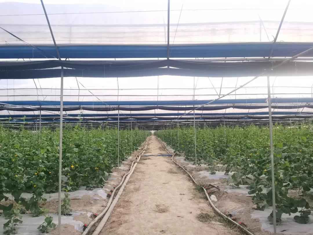 广发银行调研组赴渔溪村调研督导决战决胜脱贫攻坚