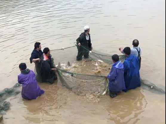 广发银行调研组赴渔溪村调研督导决战决胜脱贫攻坚