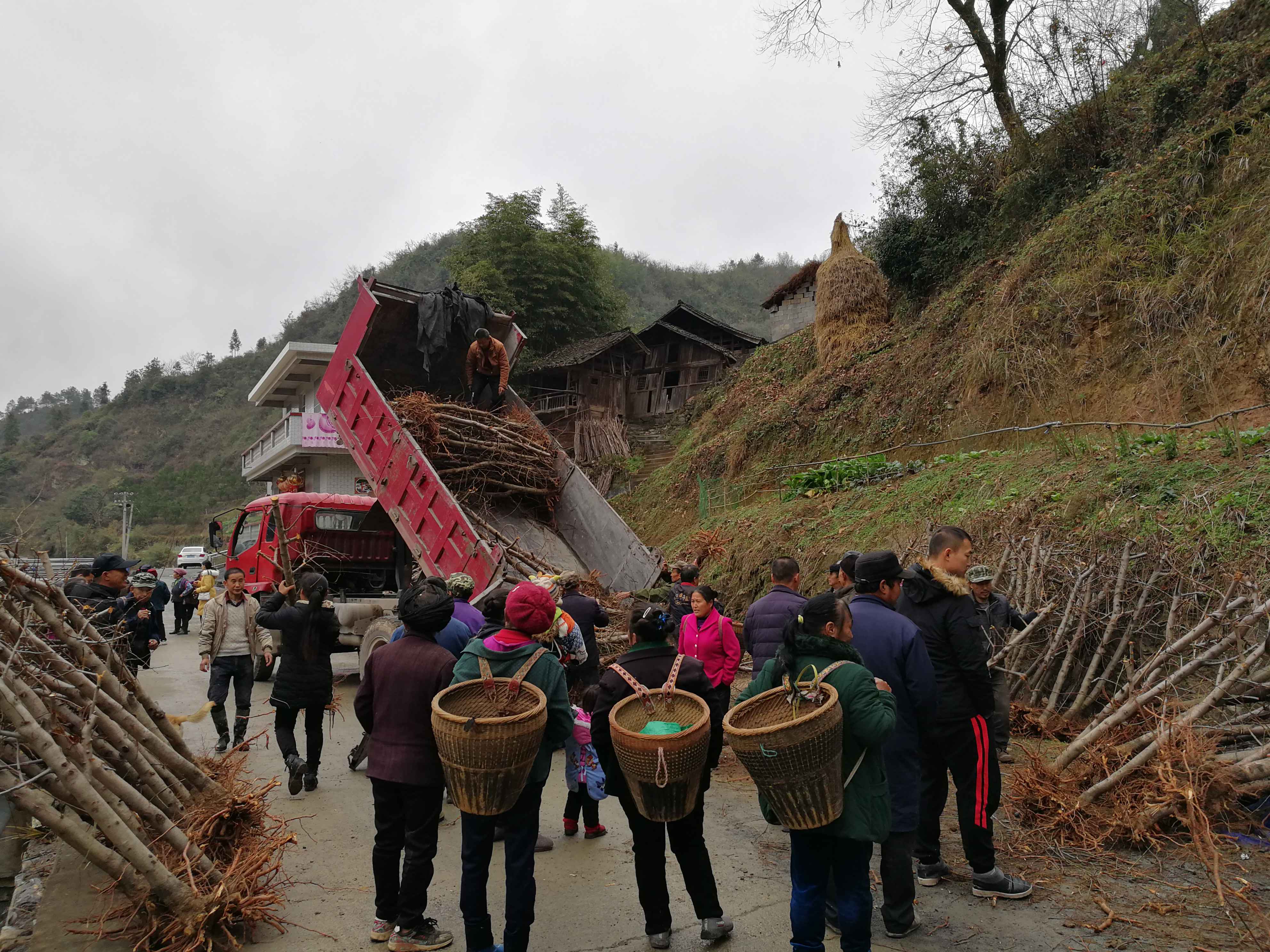 ​中信银行扶贫故事：云上村的冬桃熟了