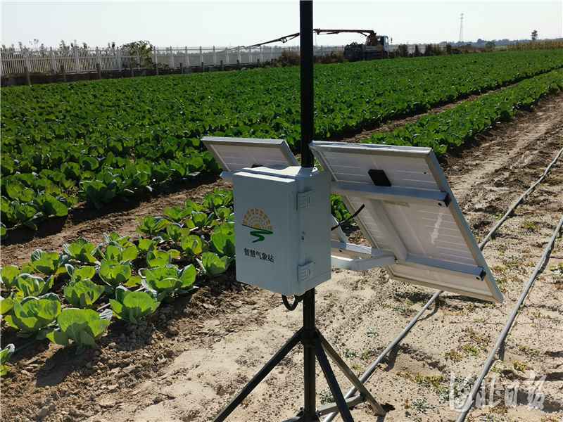 聚焦京津冀｜京冀合作助力河北农业信息化