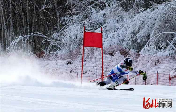 两个组别6小项 2020年河北省青少年高山滑雪锦标赛收官