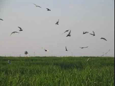 公示！河北要新增10个4A级景区 涉及承德、邯郸……