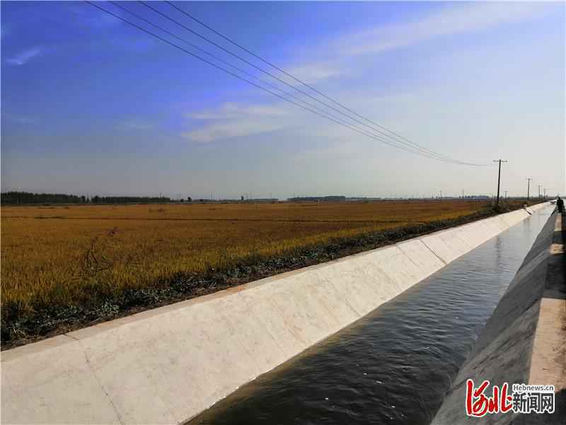 河北切实防止耕地“非粮化”稳定粮食生产