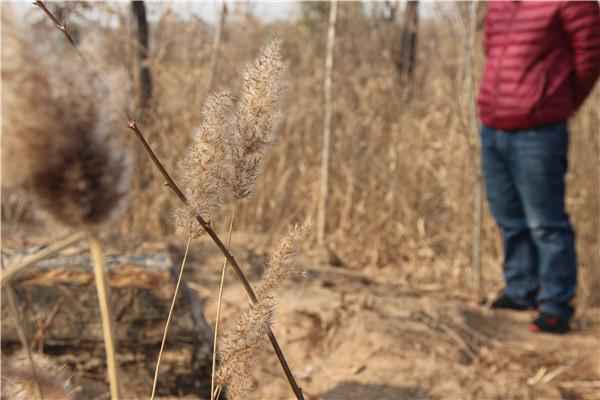 黄骅女子去世12年后尸骨被娘家人“盗去”配阴亲