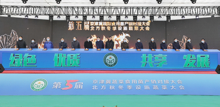 群英荟萃！ 第五届京津冀”蔬菜大会“河北饶阳开幕