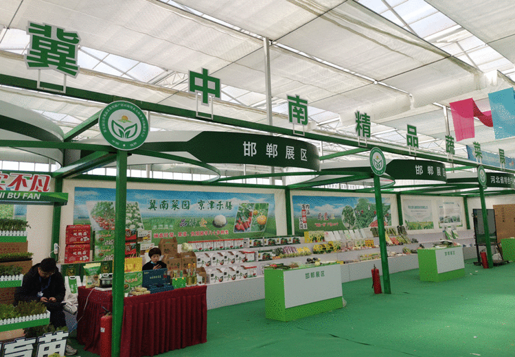 群英荟萃！ 第五届京津冀”蔬菜大会“河北饶阳开幕