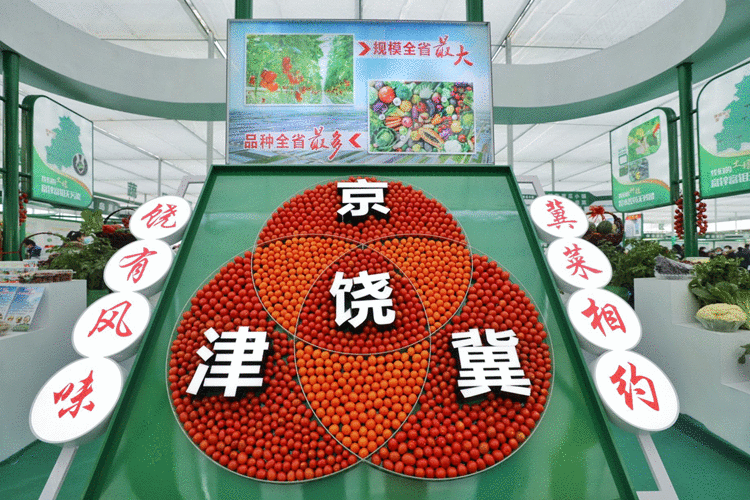 群英荟萃！ 第五届京津冀”蔬菜大会“河北饶阳开幕