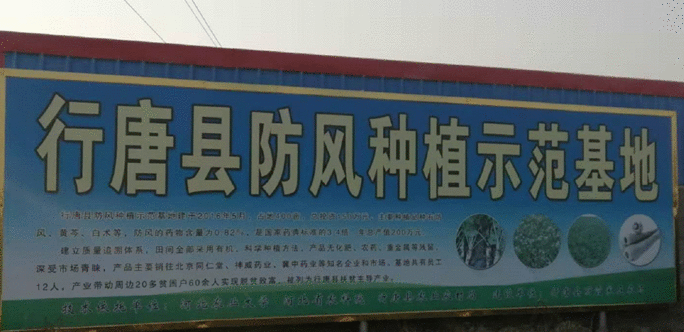 公益广告助力省会经济发展｜石家庄北边有个千年古县，被评为“国家红枣公园”，还有万亩药田