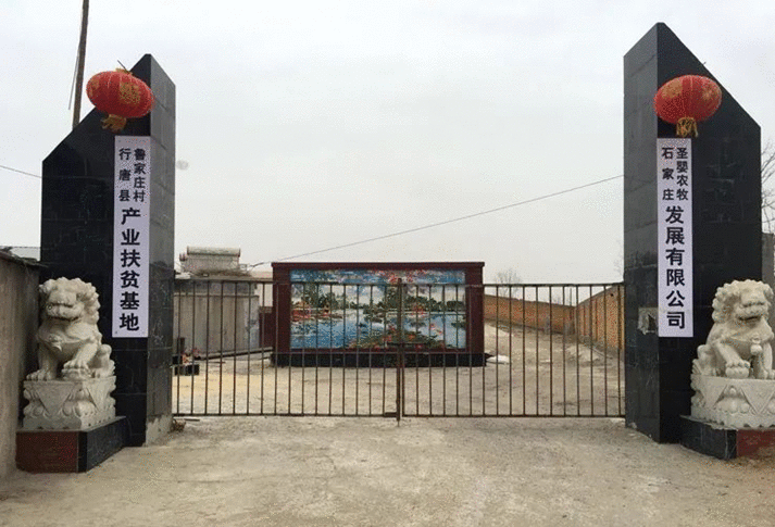 公益广告助力省会经济发展｜石家庄北边有个千年古县，被评为“国家红枣公园”，还有万亩药田