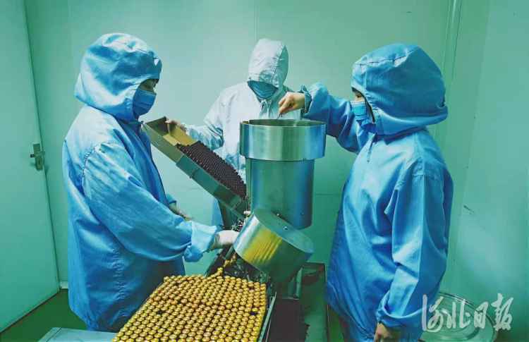 张伯礼院士深入石家庄定点医院指导:建设高水平的中医康复机制