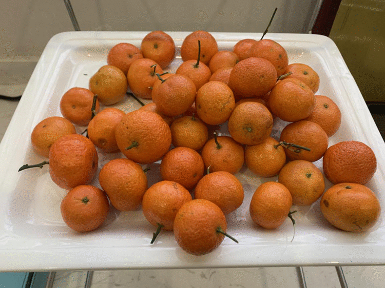 雄安20个日夜 用坚守书写胜利