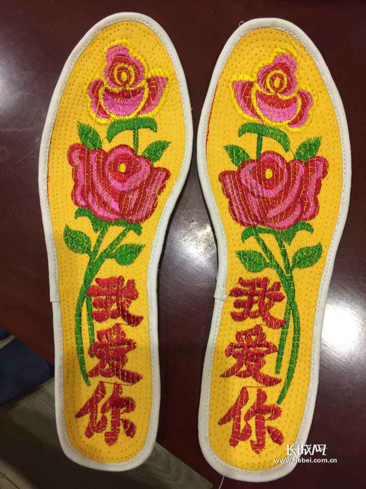 履职故事 | 代表委员的“手机相册”⑦：她把自己当农民