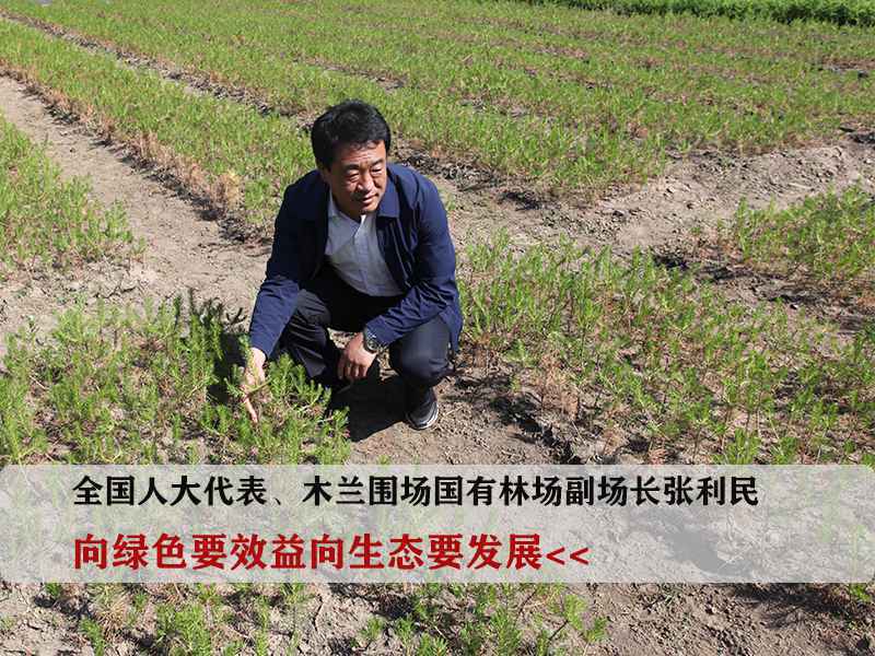 驻冀全国人大代表的履职“答卷”