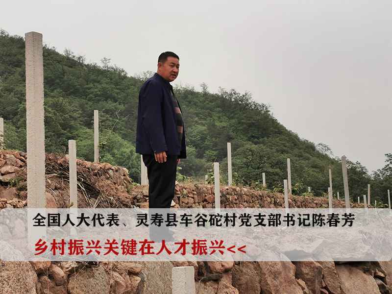 驻冀全国人大代表的履职“答卷”