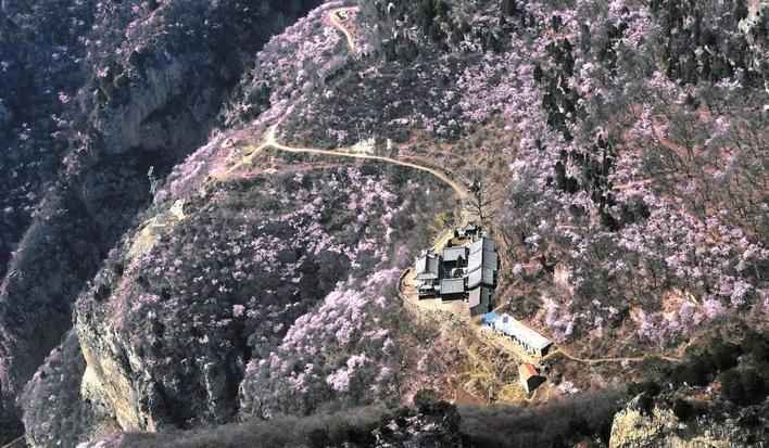 春日赏花好时节 | 杏花山上，春风十里，快来这儿邂逅河北的春天……