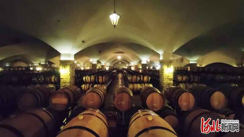 【百年京张路 筑梦冬奥行】怀来葡萄酿出经济发展新业态